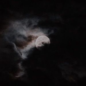 Meet your Posher, Lillian